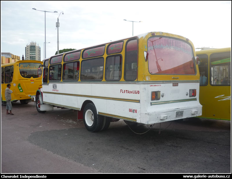 Autobus Chevrolet Independiente