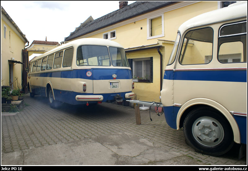 Autobus Jelcz PO 1E