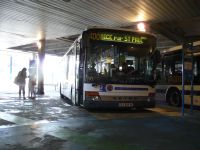 Galerie autobusů značky Setra, typu S315NF