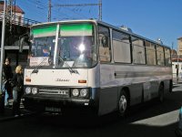 Velký snímek autobusu značky Ikarus, typu 256