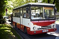 Galerie autobusů značky Ikarus, typu 553