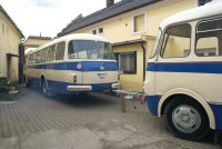 Velký snímek autobusu značky Jelcz, typu PO 1E