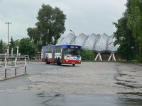 Velký snímek autobusu značky Jelcz, typu M121M