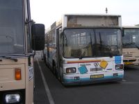 Velký snímek autobusu značky TAM, typu 272 A 180 M
