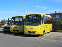 Velký snímek autobusu značky Cacciamali, typu Tema