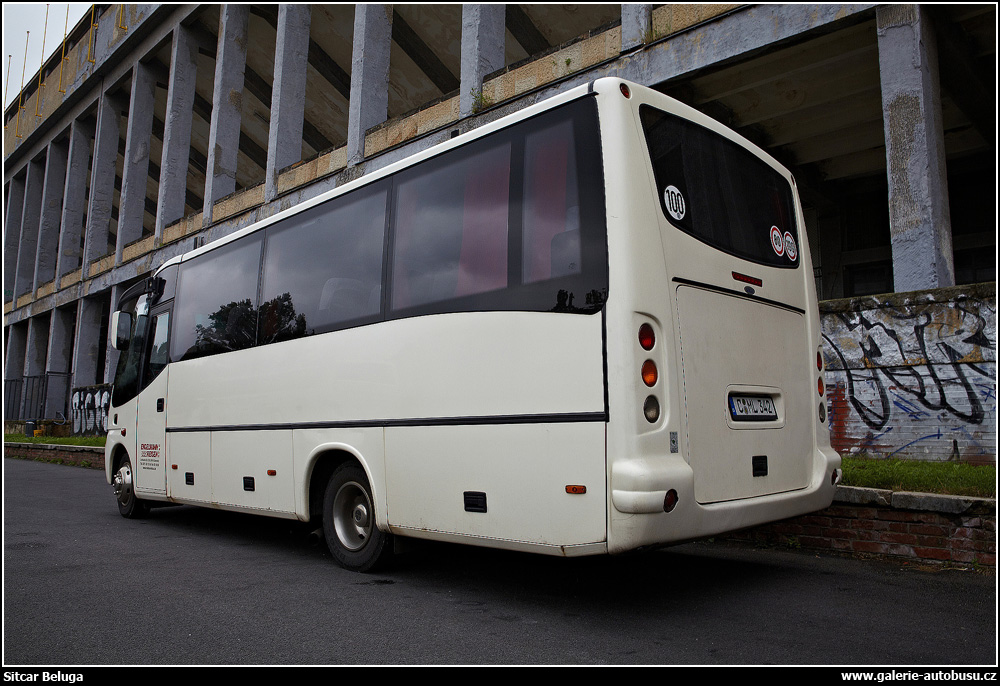Autobus Sitcar Beluga