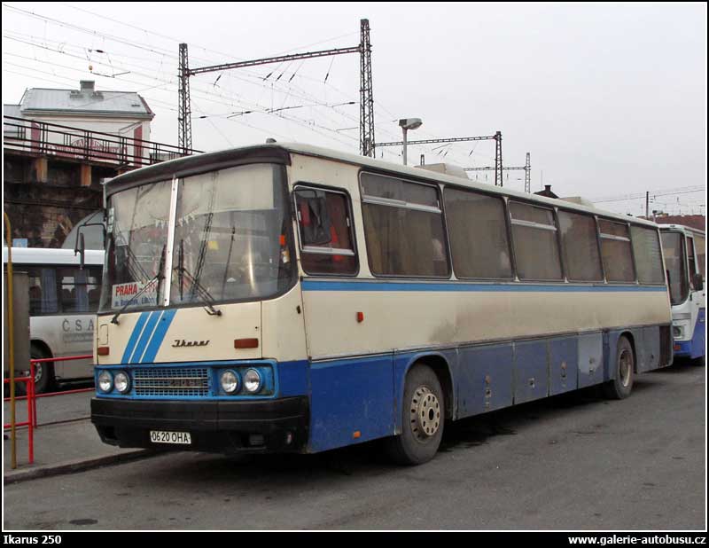 Autobus Ikarus 250
