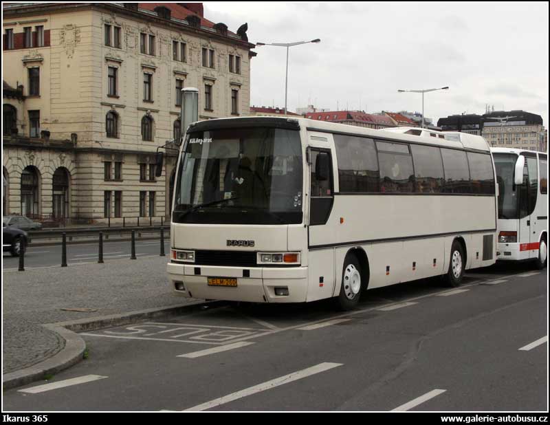 Autobus Ikarus 365