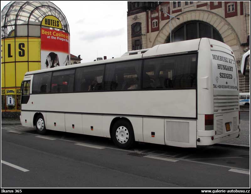 Autobus Ikarus 365