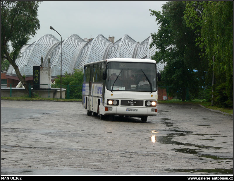 Autobus MAN ÜL242