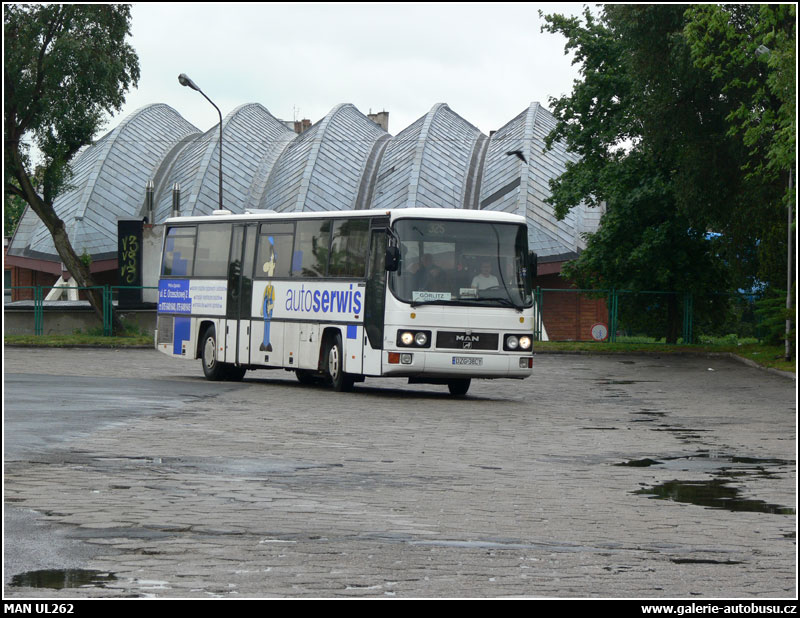 Autobus MAN ÜL242