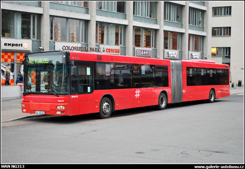 Autobus MAN NG313