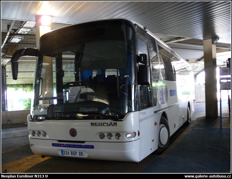 Autobus Neoplan Euroliner N313 U