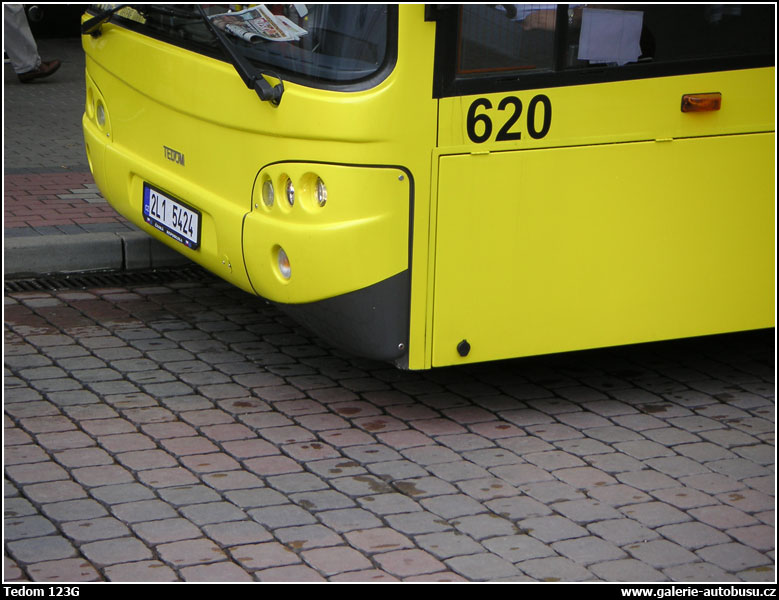 Autobus Tedom 123G