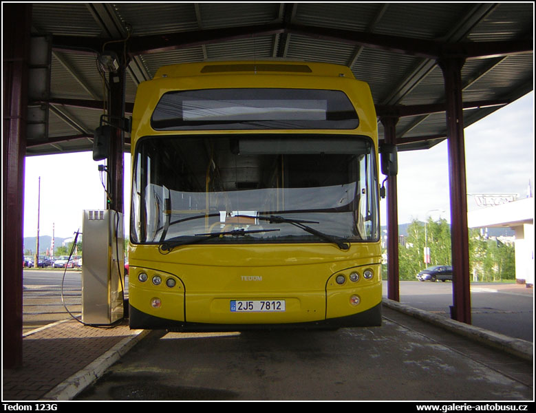 Autobus Tedom 123G