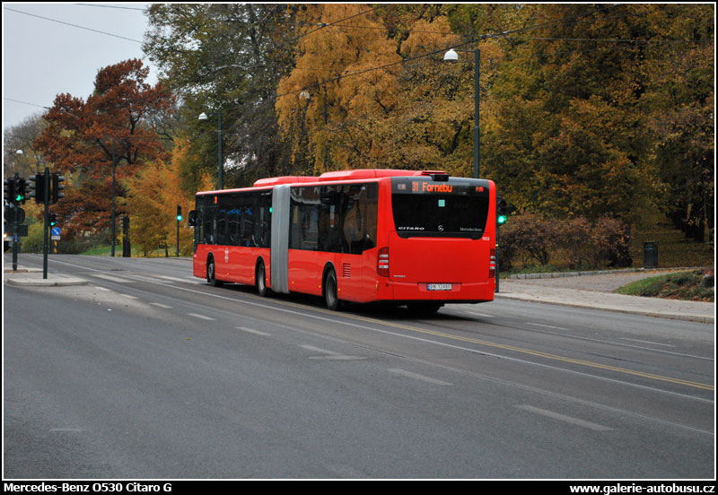 Autobus Mercedes-Benz O530 Citaro G