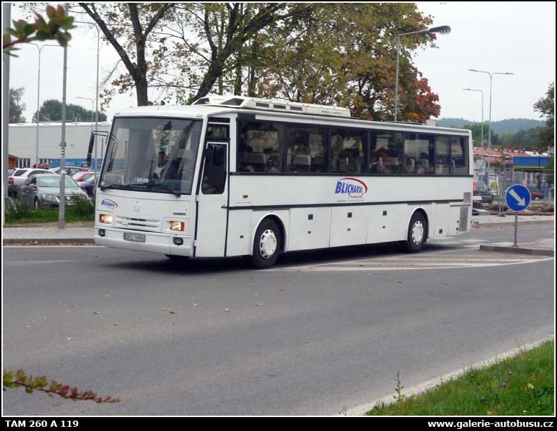 Autobus TAM 260 A 119