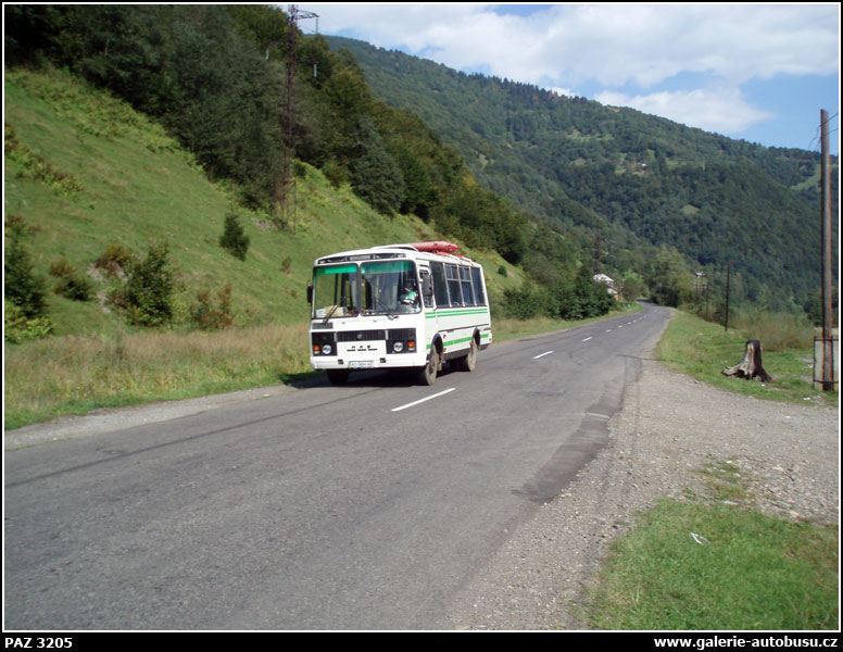 Autobus PAZ 3205