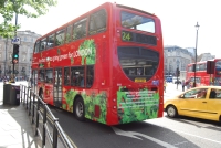 Velký snímek autobusu značky n, typu o