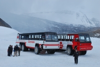 Velký snímek autobusu značky Foremost, typu Terra Bus