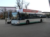 Galerie autobusů značky MAN, typu NL223