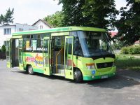 Velký snímek autobusu značky Jelcz, typu M081MB