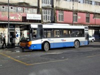 Velký snímek autobusu značky BredaMenarinibus, typu M231