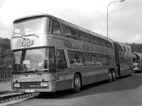 Velký snímek autobusu značky Neoplan, typu Jumbocruiser N138-4