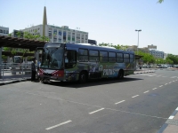Galerie autobusů značky Marcopolo, typu Viale