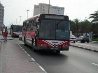 Velký snímek autobusu značky Marcopolo, typu Viale