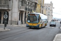 Galerie autobusů značky Marcopolo, typu Gran Viale