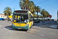 Velký snímek autobusu značky Marcopolo, typu Gran Viale