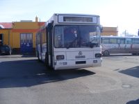 Velký snímek autobusu značky TAM, typu 232 A 116 M