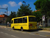 Galerie autobusů značky Cacciamali, typu Tema